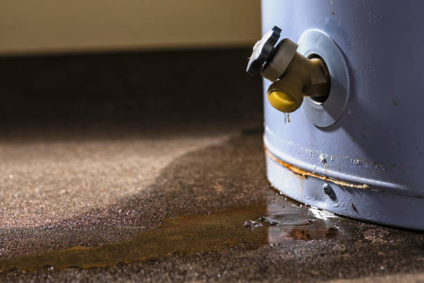 Best Flooded house restoration  in Spring Lake Park, MN