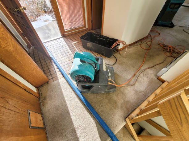 Best Basement water damage restoration  in Spring Lake Park, MN