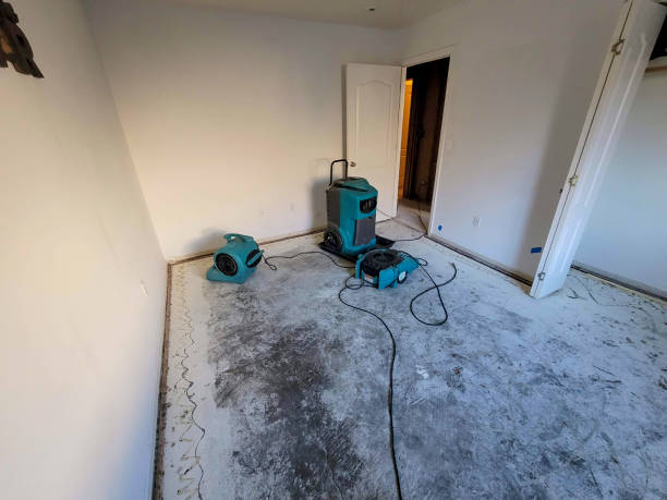 Best Carpet water damage restoration  in Spring Lake Park, MN