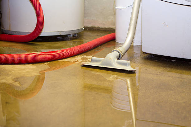 Best 24-hour water damage restoration  in Spring Lake Park, MN