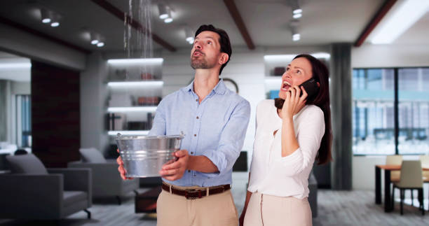 Water damage restoration experts in Spring Lake Park, MN