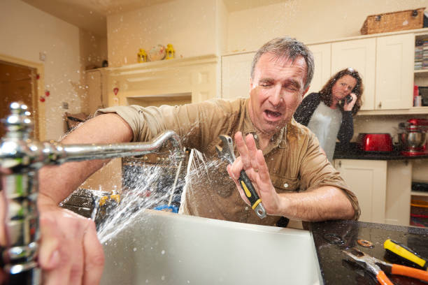 Best Local water damage restoration  in Spring Lake Park, MN